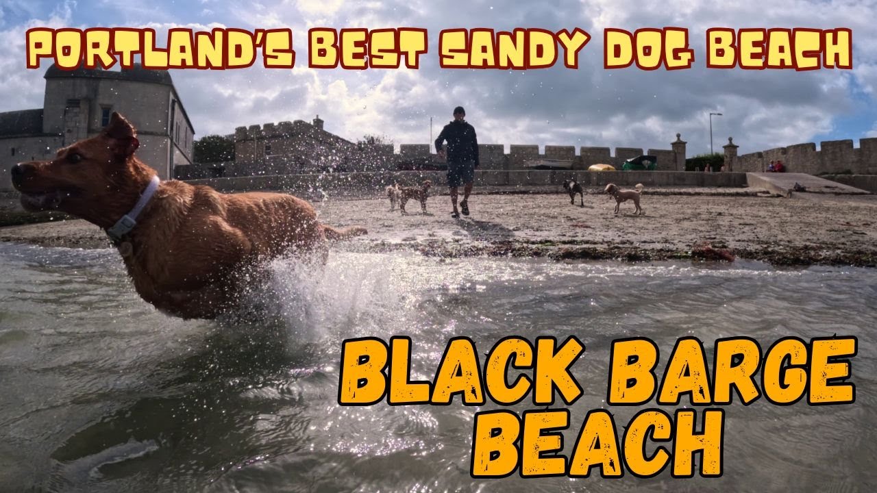 Portland's BEST Sandy DOG BEACH!!