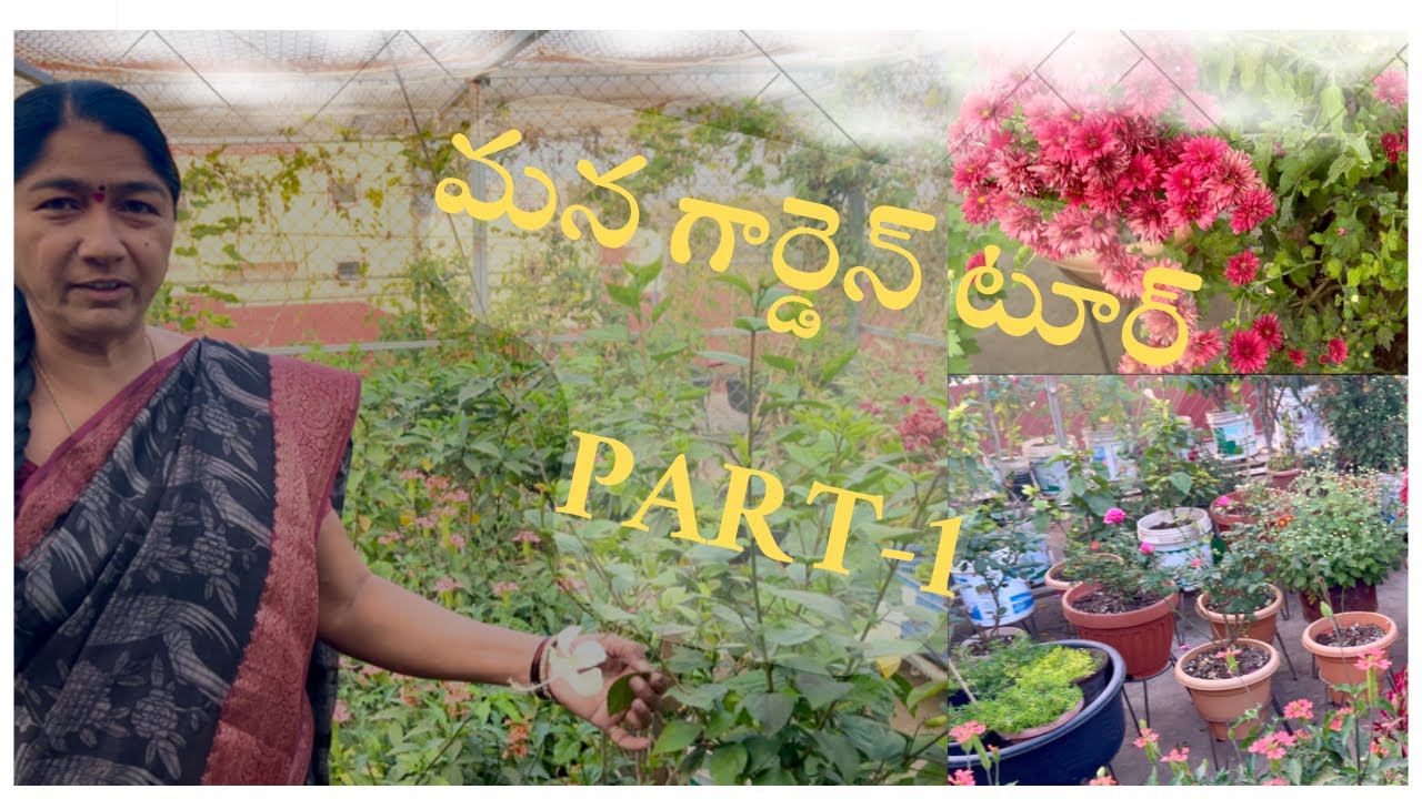 మన గార్డెన్ టూర్ Part-1||Garden tour|Gardening ideas for home in telugu|పూల మొక్కలను ఎలా పెంచుతాను 🏡