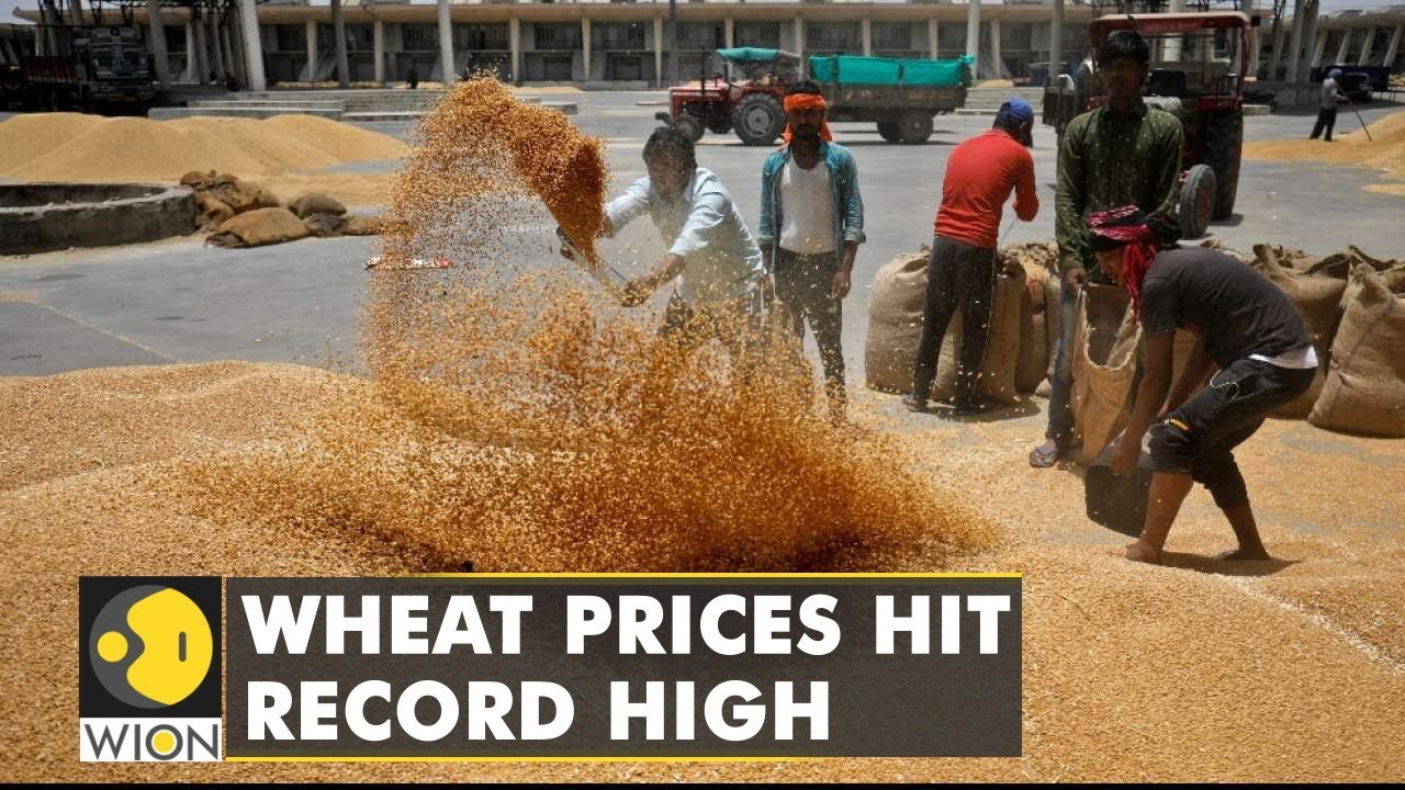 India gets unlikely support from China over wheat export ban | India wheat export ban | English News