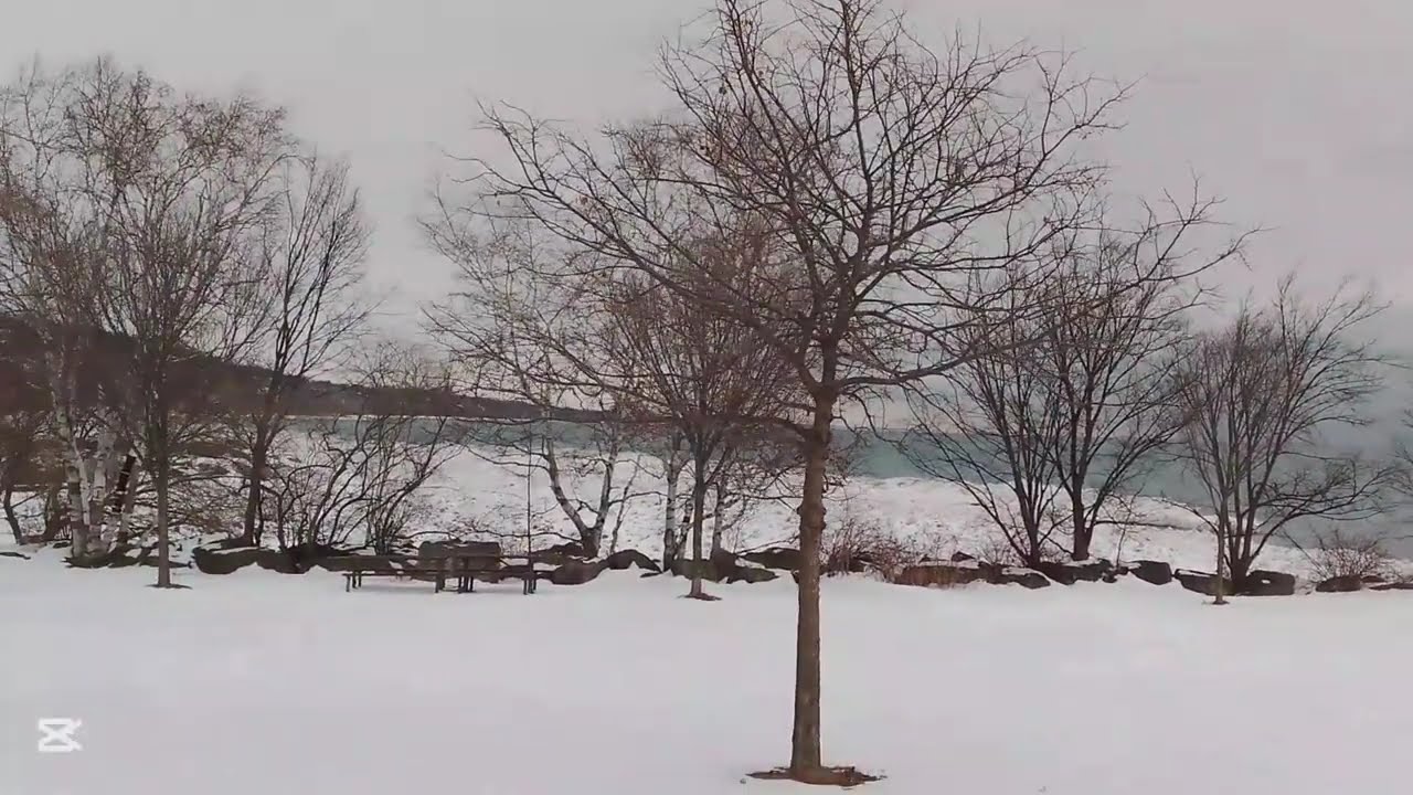 Walking in Scarborough Bluffers Park after the Snowstorm 