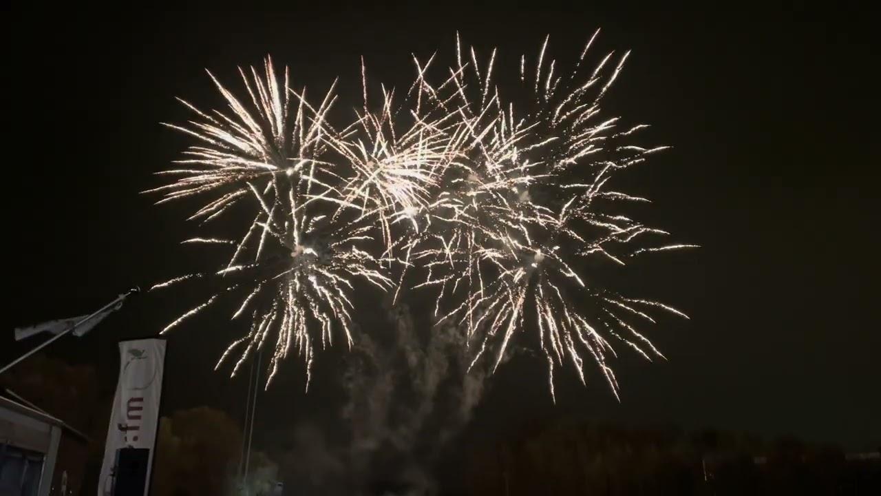 Wyvern Fireworks Taunton