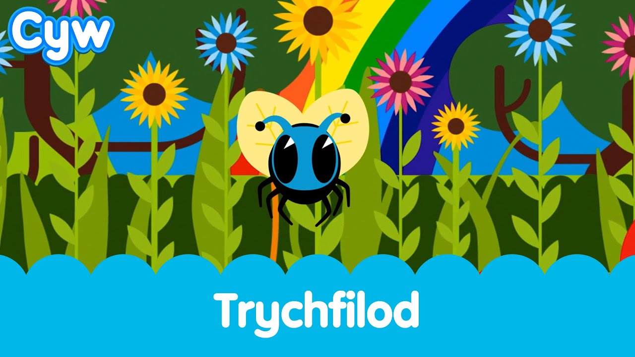 Cân Trychfilod Cyw | Cyw's Bugs Song
