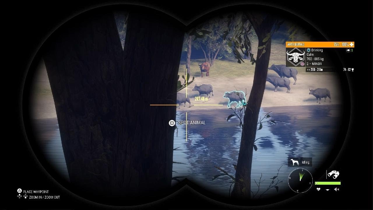 First thcotw vid