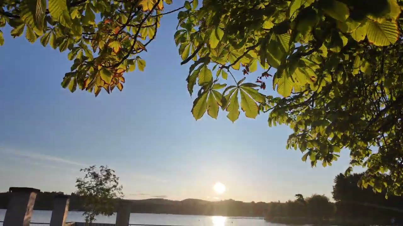 Sunrise Over a Quiet Reservoir 🌅 | Peaceful 4K Morning Walk