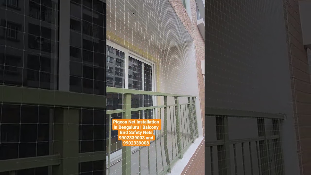 Pigeon Net Installation in Bengaluru | Balcony Bird Safety Nets