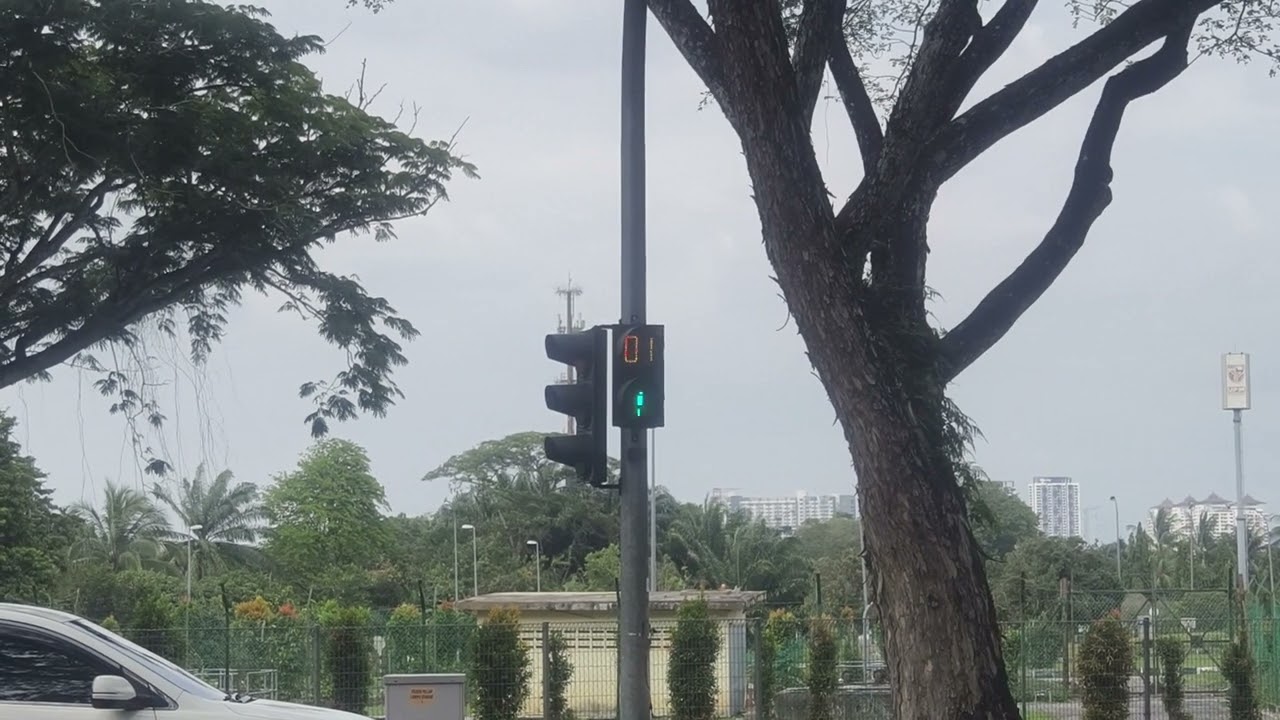Traffic Light Sound - UPM, Selangor Darul Ehsan, Malaysia (3)