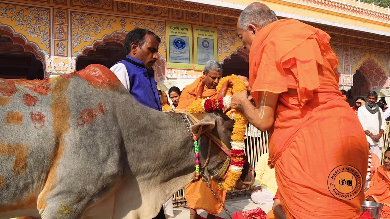 Radhe Radhe Gopashtmi Utsav Darshan Thikana Mandir Shri Govind Dev Ji,Jaipur 11/11/2021