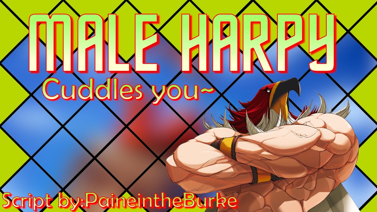 🐦Harpy saves you 🐦 (M4A)(Beach)(Himbo)(Cuddles)(Monster Boy)(Bird MAN)(Curious)