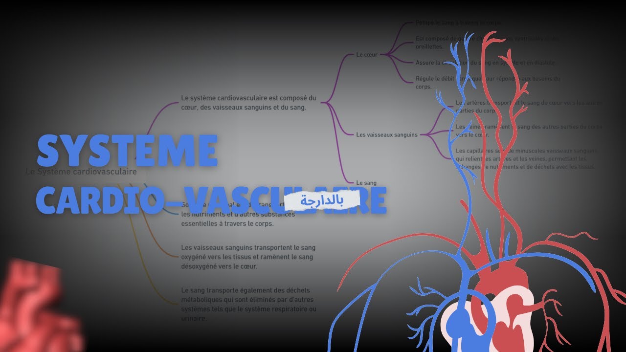 شرح PHYSIOLOGIE DES GRANDES FONCTIONS S5 en arabe de A à Z - الحلقة الثانية✅.