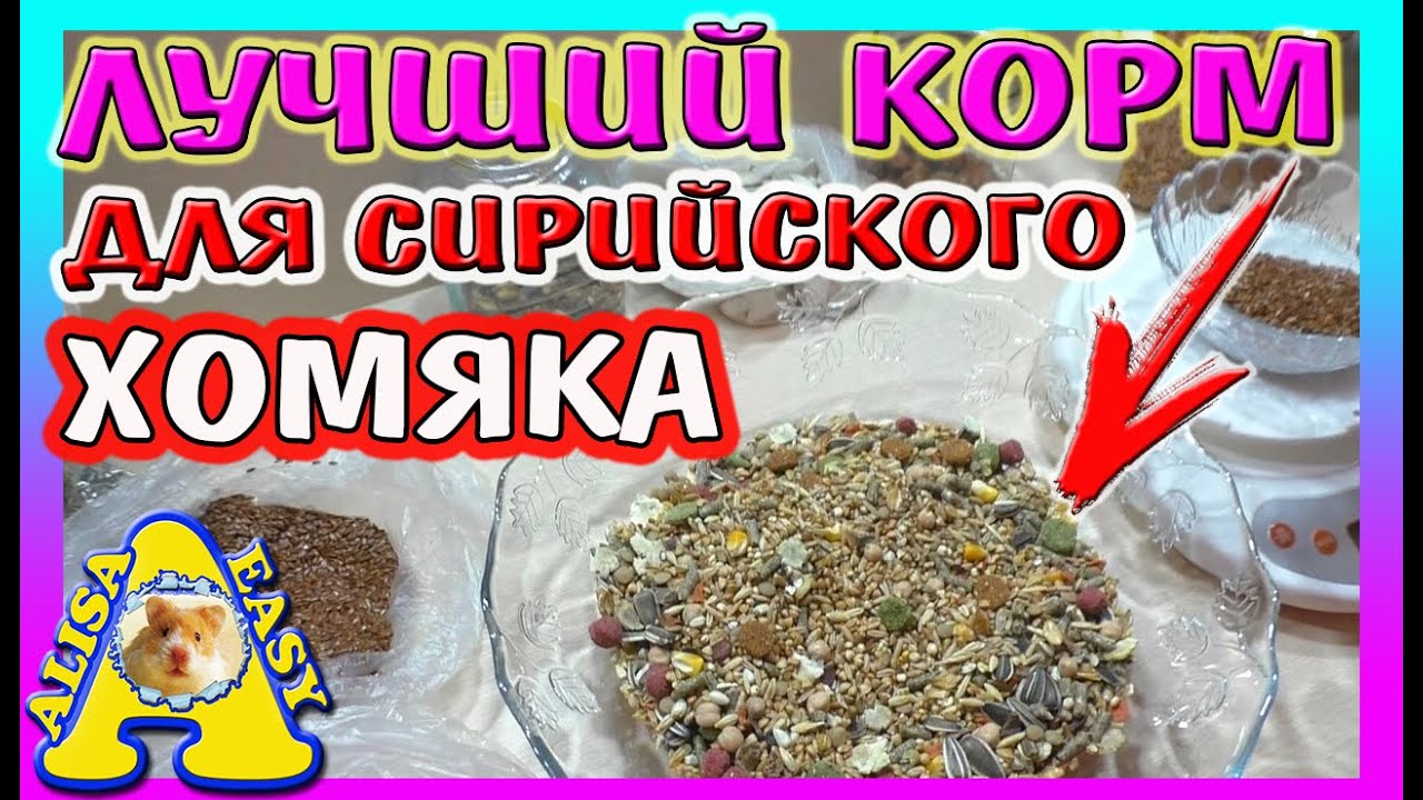 КАК СДЕЛАТЬ КОРМ ДЛЯ ХОМЯКА / МЕШАНИНА ДЛЯ СИРИЙСКОГО ХОМЯКА / Alisa Easy Pets