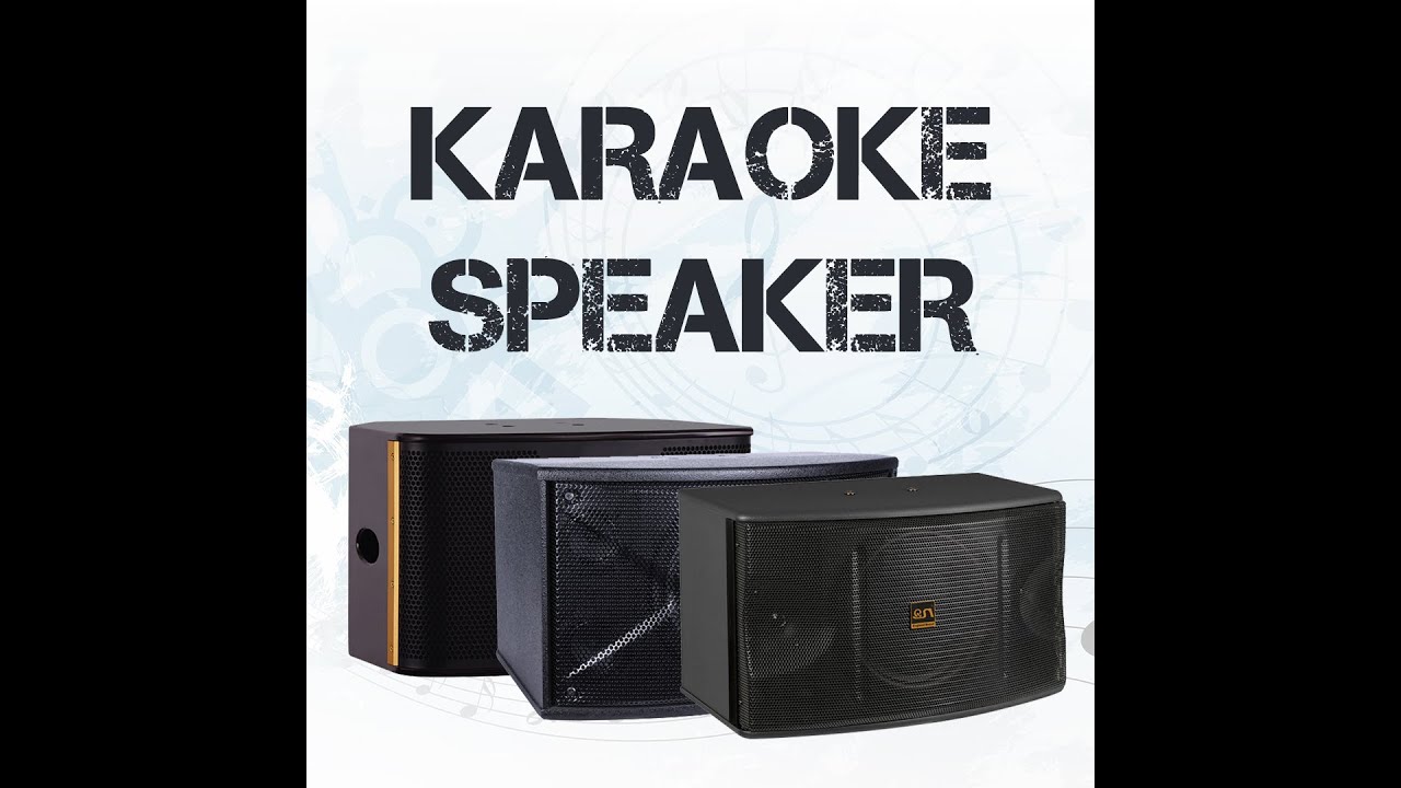 Good quality Karaoke speaker from China QSN professional audio manufacturer