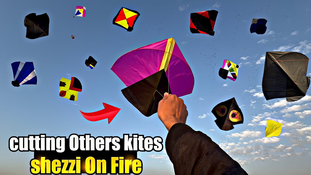 Cutting Others Kites 🤩Others Chamero Scene| Again Bachat Hogai Aj🥹|| New Video !