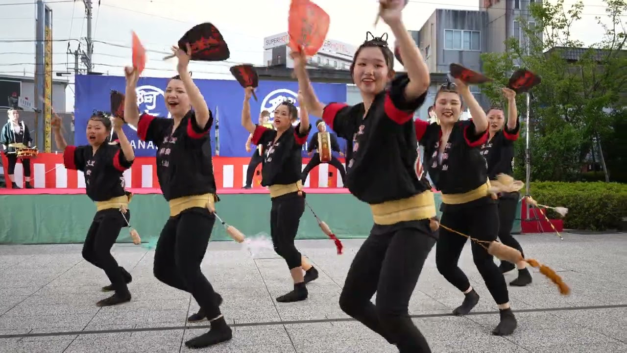 黒潮連 📍阿南の夏まつり 阿波踊り競演大会 (市役所演舞場) 2024-07-20T19:01