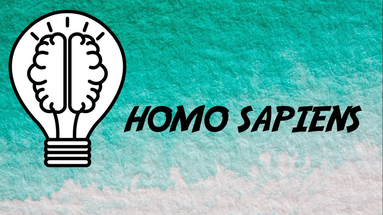 Homo Sapiens - Videolezione di storia per la classe terza di Scuola Primaria.