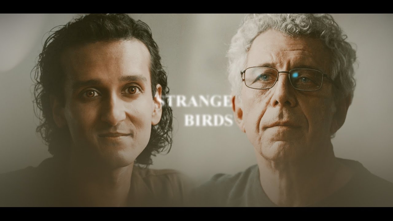 armand & daniel | strange birds (devil's minion)