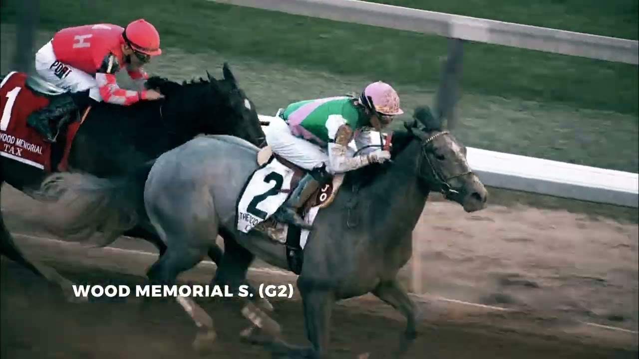 Tacitus - 2026 TV Commercial