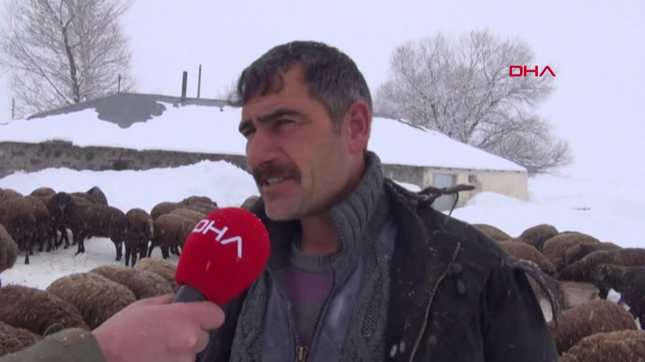 Karlıova'da 2 metreyi bulan kar, hayvancılığı zorlaştırıyor