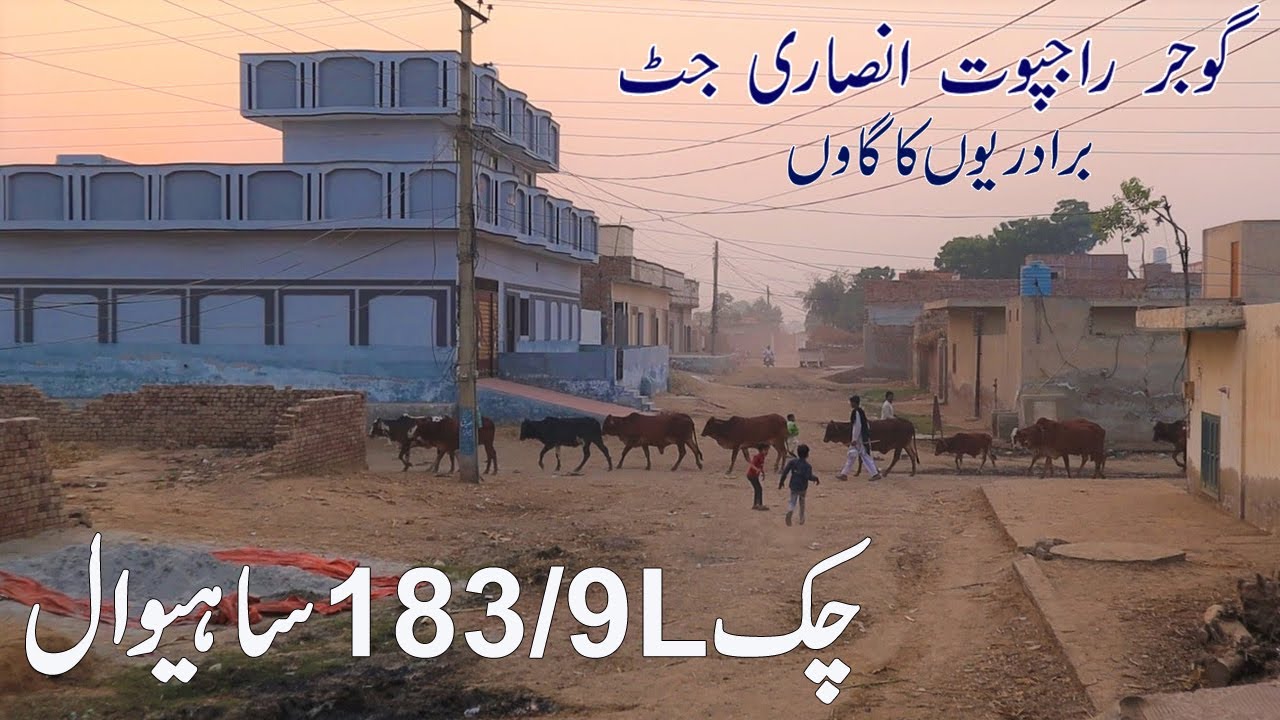 Chak 183/9L Sahiwal || Gujjar, Rajput, Ansari Tay Jatt Bradari Da Pind
