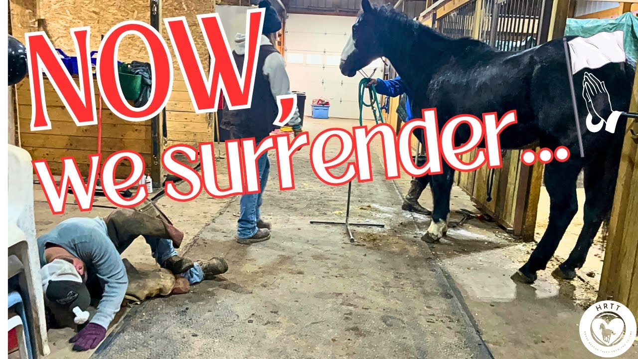 This Was Completely Unexpected! 😳 (Part 3 of 3)