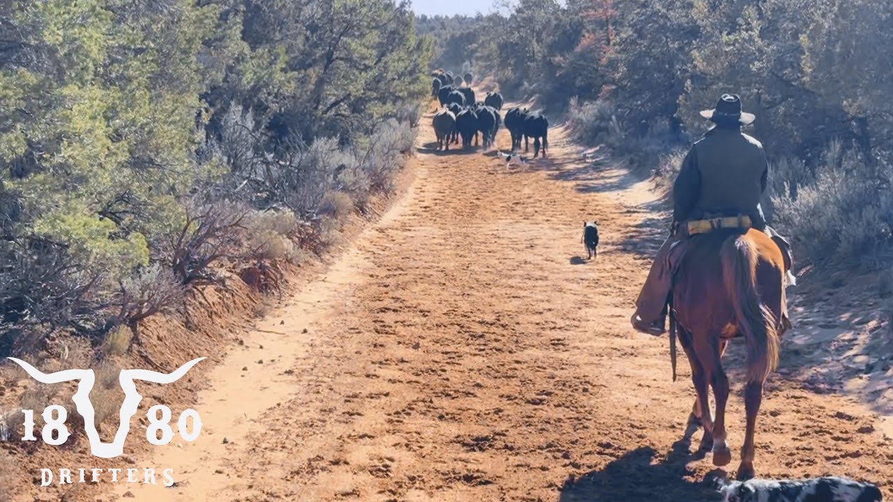First Pasture Move On The Desert. Winter Is here!