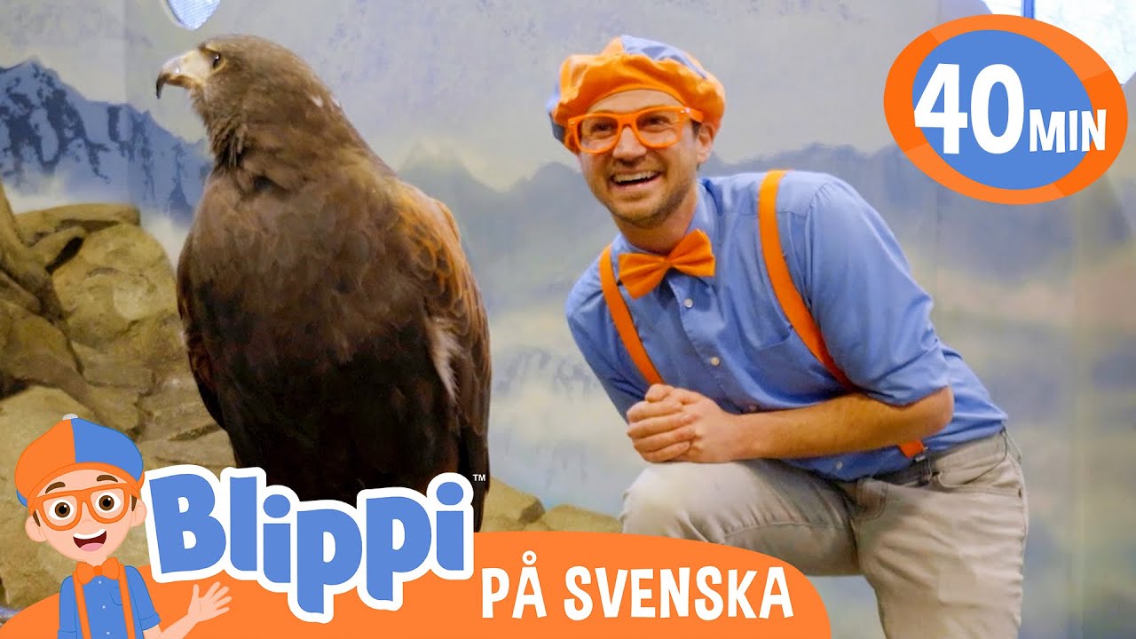 Blippi Svenska | Blippi matar och leker med djur på zoo | pedagogiska videor för barn
