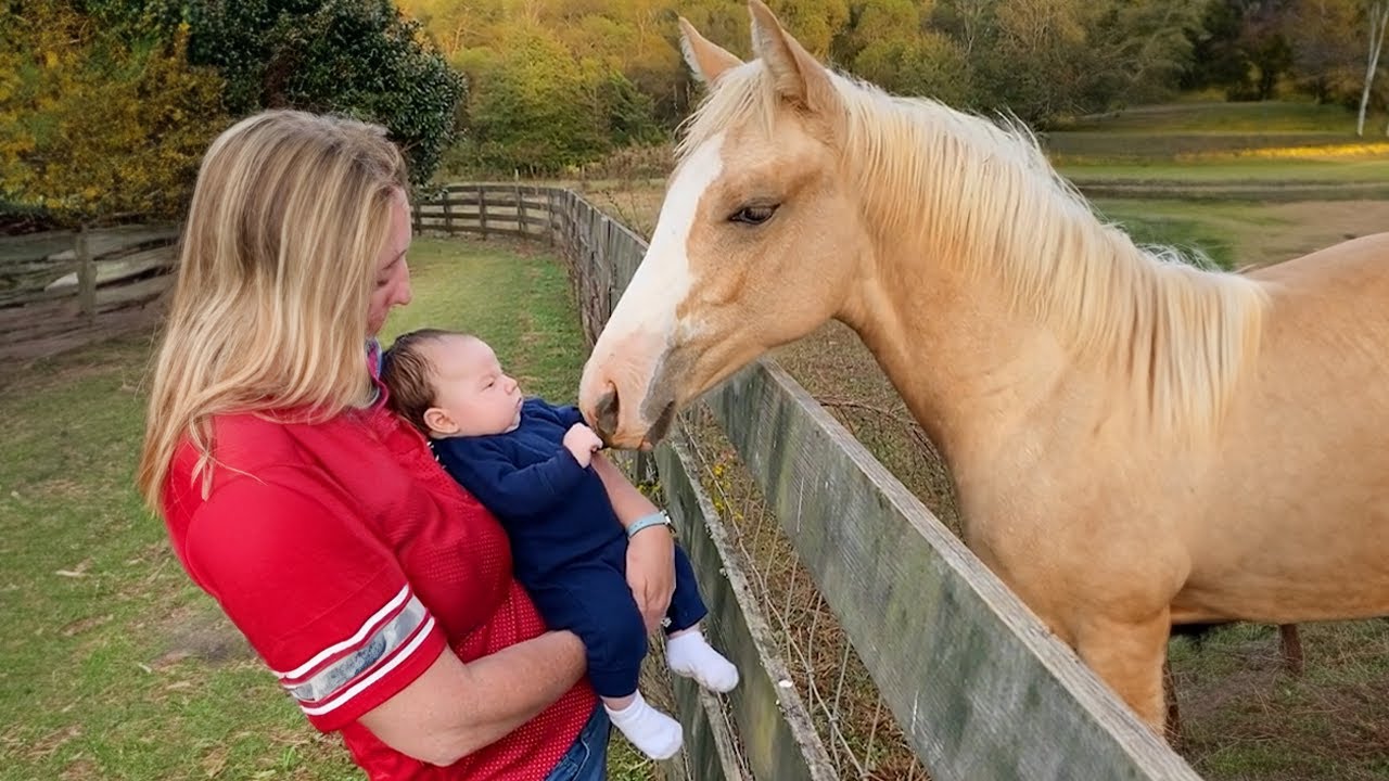 A Tender Bond Between a Little Angel and a Horse