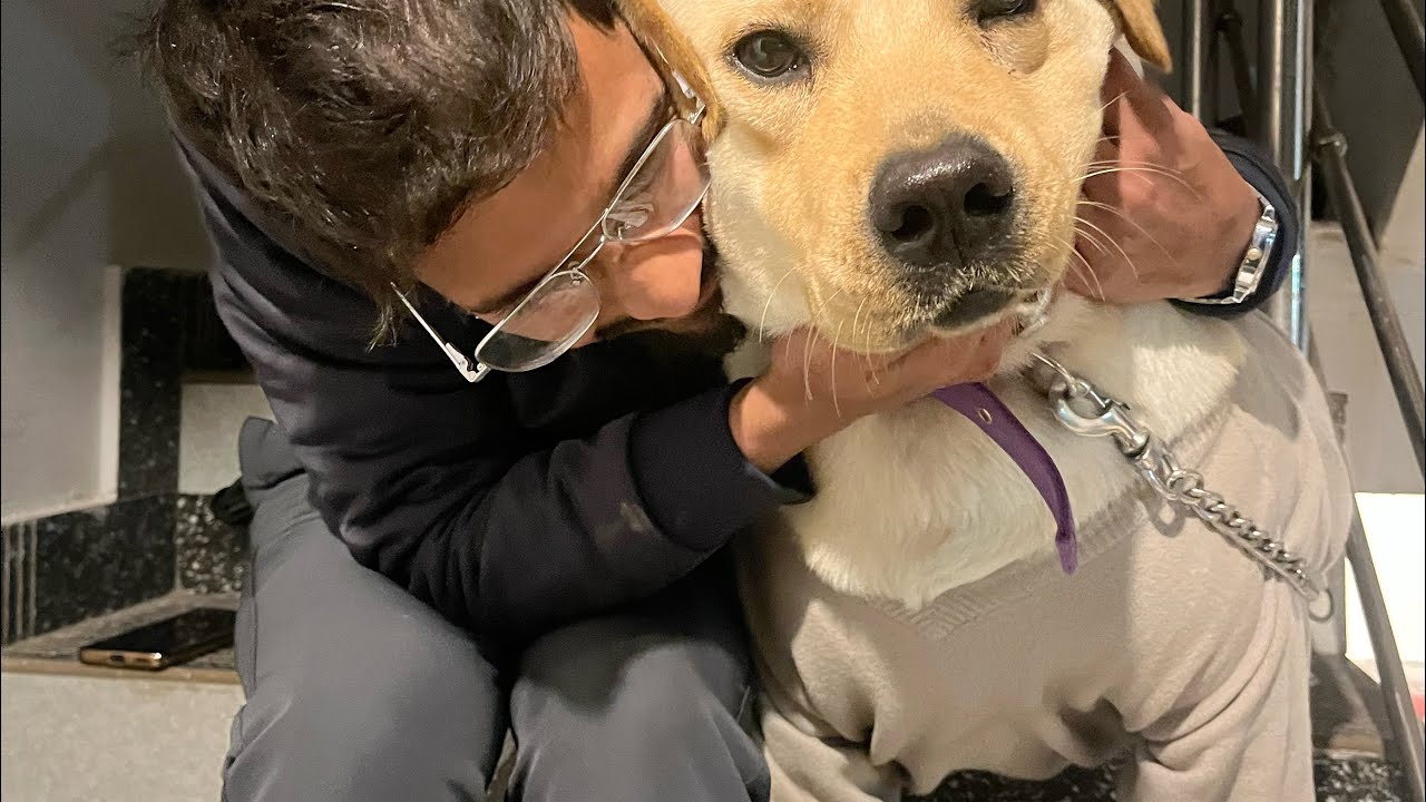 Jo jo ka naya swweter♥️. #dehradunvlogger #dailyvlog #unfiltered #labrador #family 