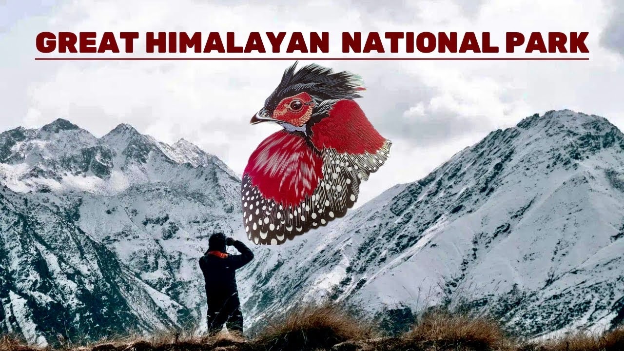 GREAT HIMALAYAN NATIONAL PARK: Day 1 || Niharni to Shakti || Dhel Meadow Trekk #himachal #kullu