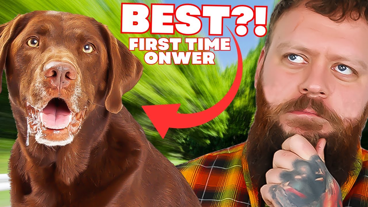 BEST BREED FOR FIRST TIME OWNER