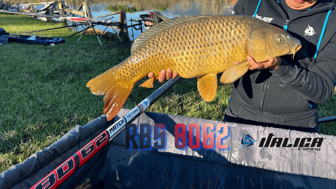 ROUBAISIENNE ITALICA 8062: Prestazione Top per pesca da bianco e non solo!