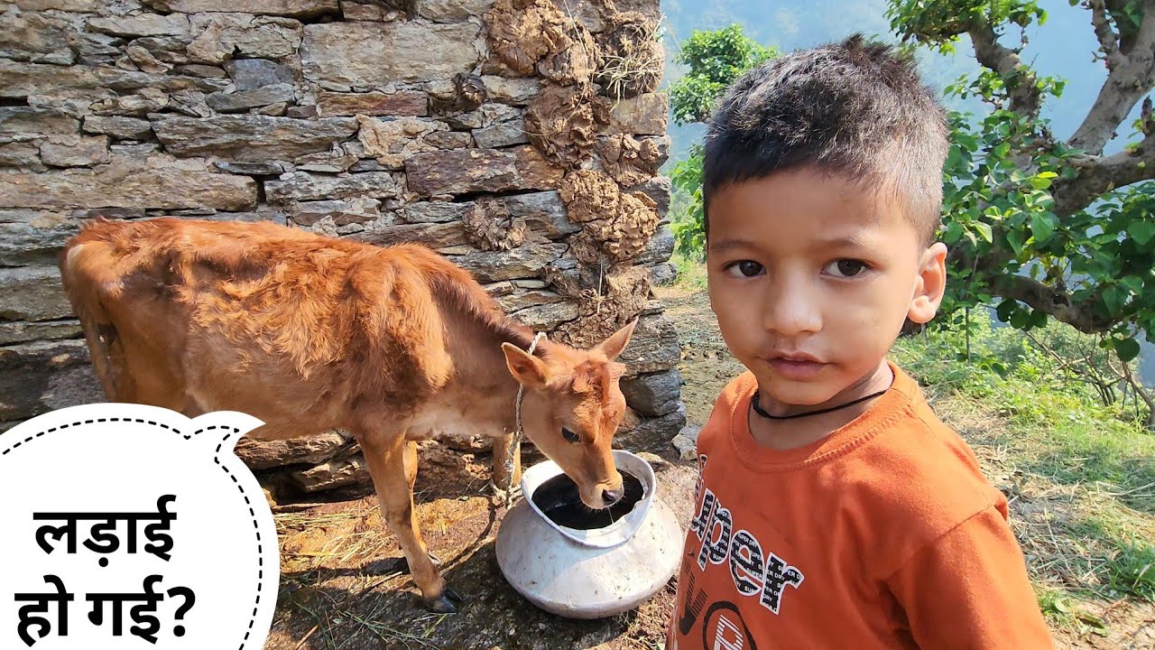 Rishu ने बड़े पत्थर से मार दिया || Pahadi Lifestyle Vlog || Cool Pahadi