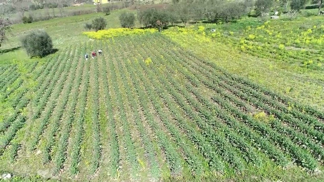 Dove si trova Casa Iuorio?