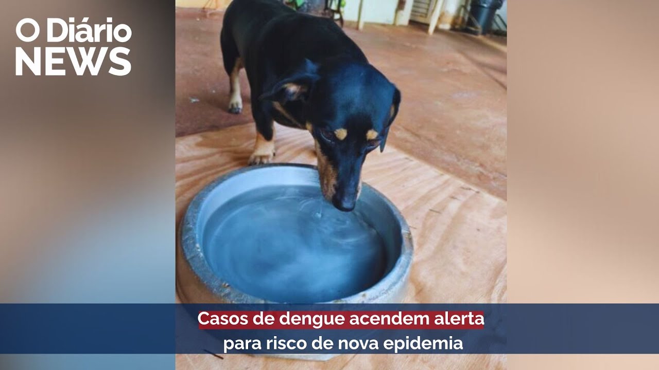 O Diário News - 27/01/2026
