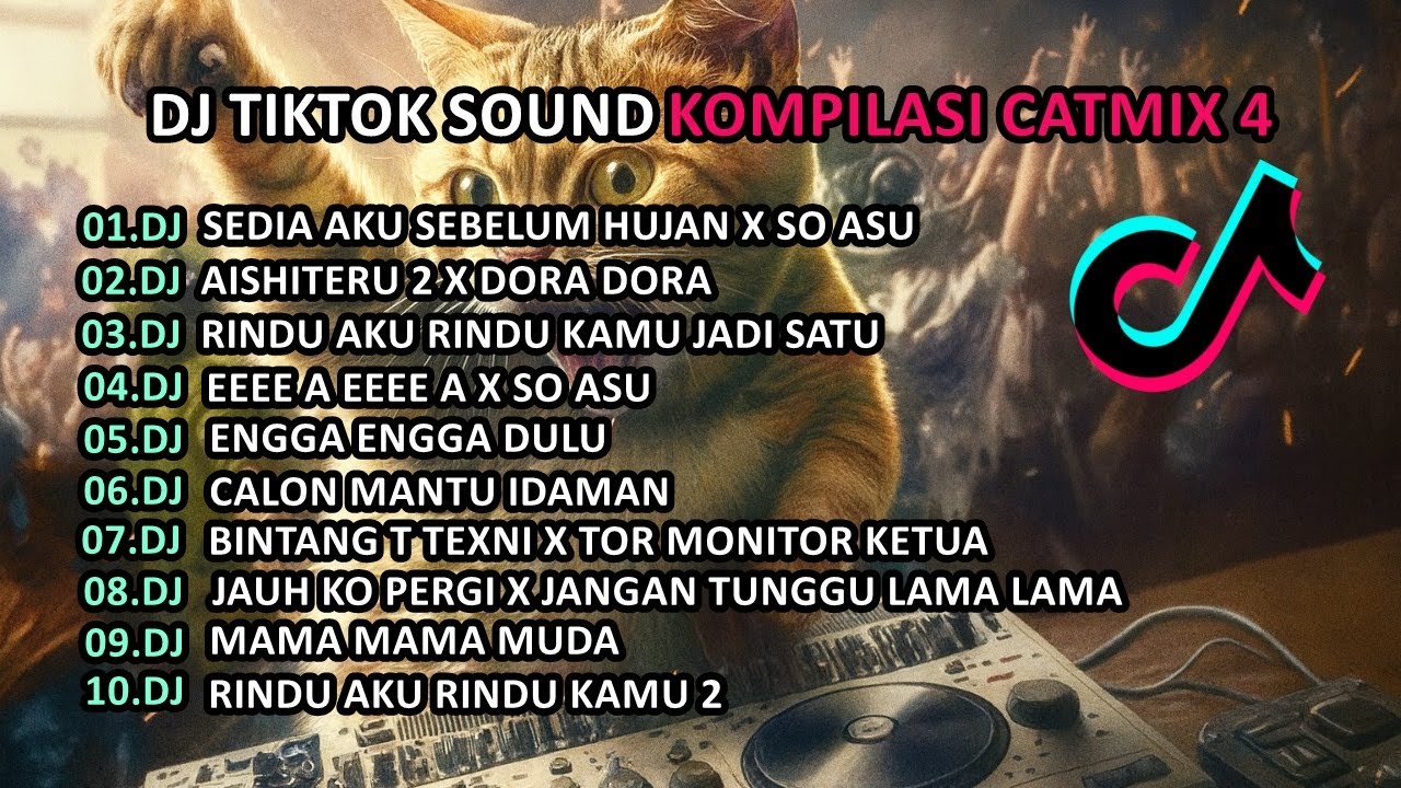 DJ Kompilasi Tiktok Catmix 4 | Sedia Aku Sebelum Hujan X So Asu
