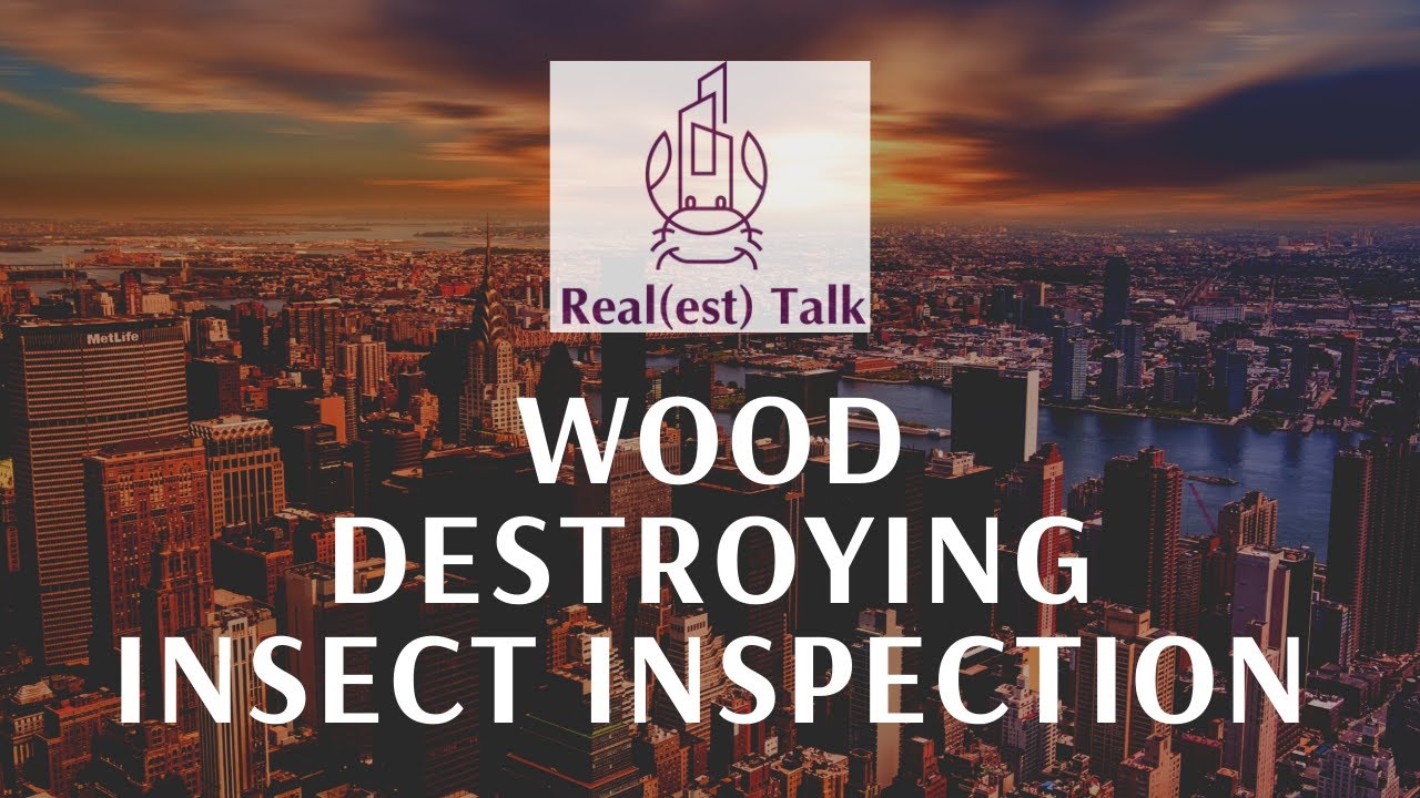 🐛 Wood Destroying Insect Inspection 🐜