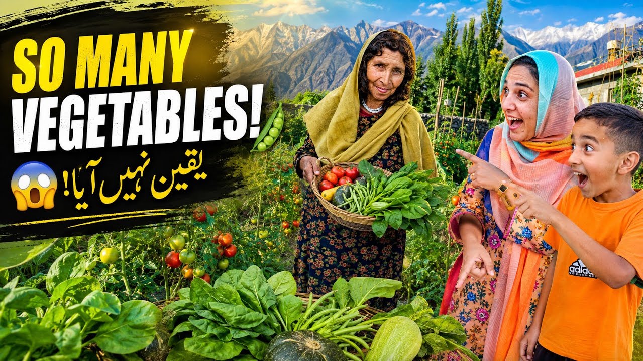 I Couldn't Believe My Mother-in-Law's Organic Garden in Gilgit-Baltistan! 🌿🥬 | Village Life Pakistan