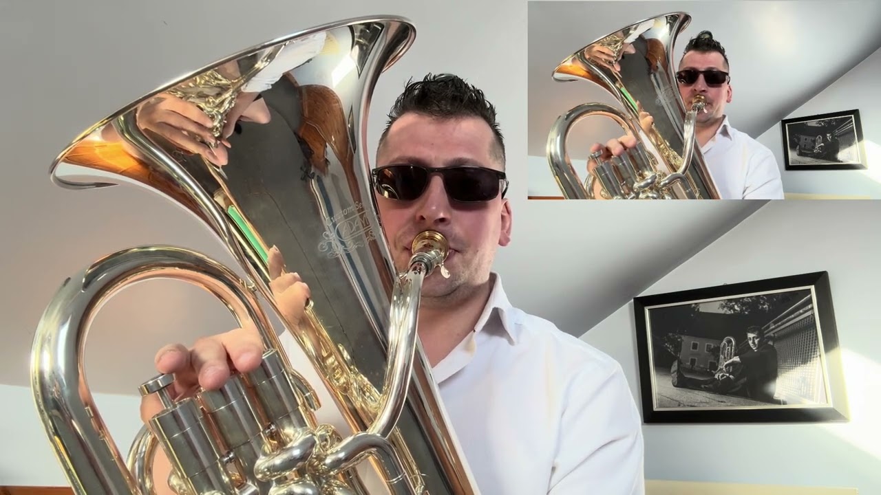 Euphonium Dance Track - 'Losing It' - Fisher and 'Rio' - Netsky featuring Digital Farm Animals