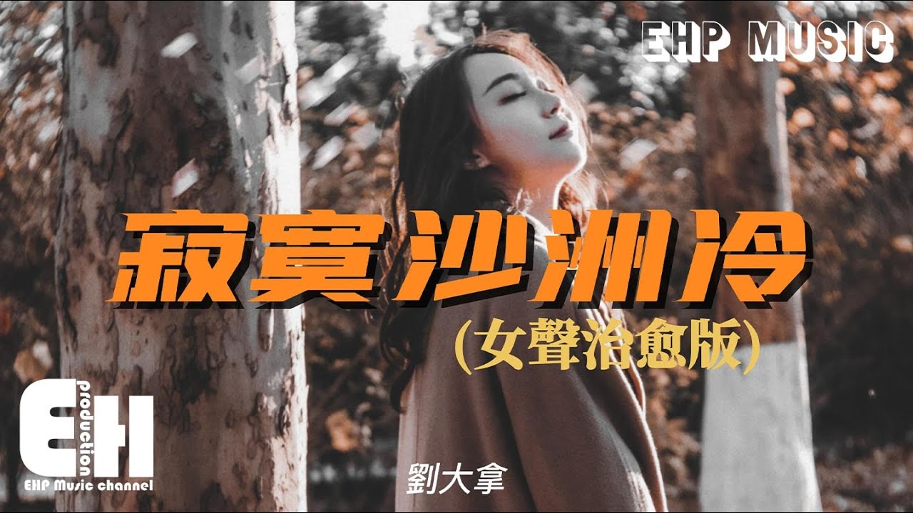 劉大拿 - 寂寞沙洲冷（女聲治愈版）『當記憶的線纏繞過往支離破碎，是慌亂占據了心扉。』【動態歌詞/Vietsub/Pinyin Lyrics】