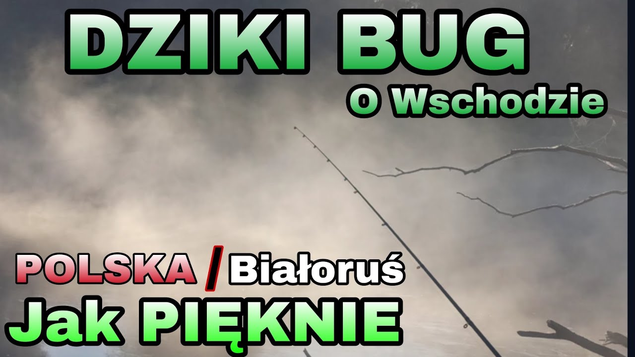 PIĘKNA RZEKA BUG o ŚWICIE! Kocham ŁOWIĆ RYBY ! feder i grunt na trudnym ŁOWISKU!