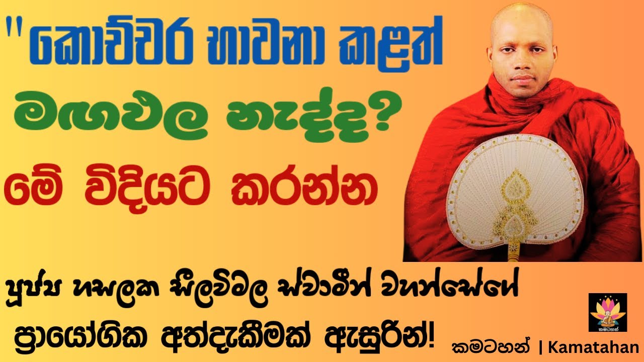 භාවනාව ඉක්මනින්ම වඩන්න මෙන්න ක්‍රමය | Ven Hasalaka Seelawimala Thero