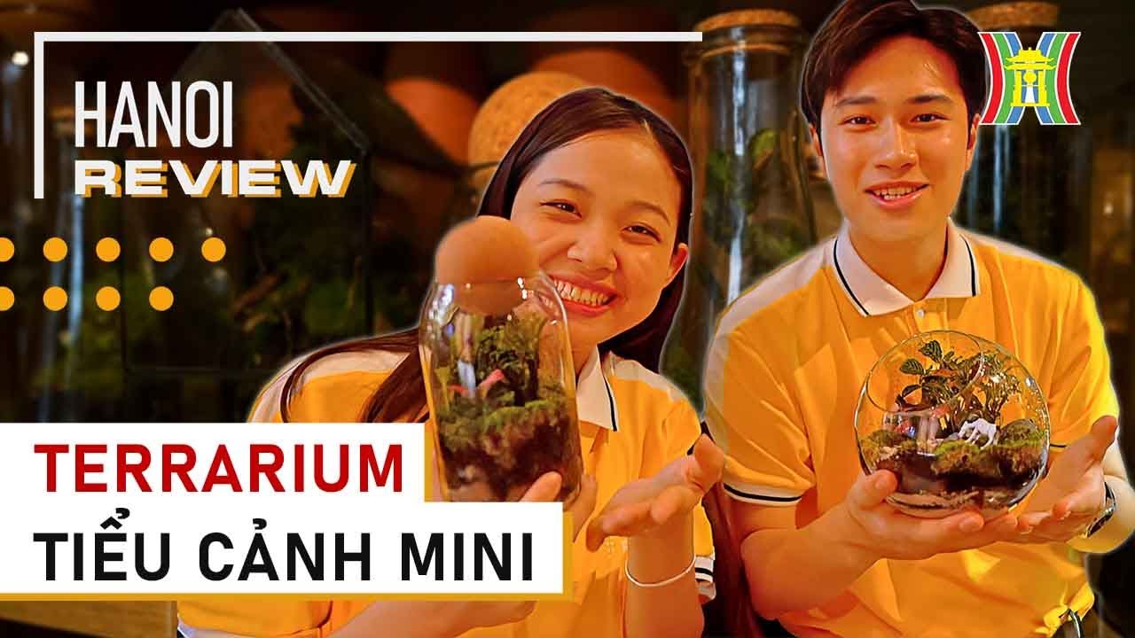 Terrarium - Nghệ thuật trồng cây trong bình thủy tinh cực đáng yêu được giới trẻ ưa chuộng