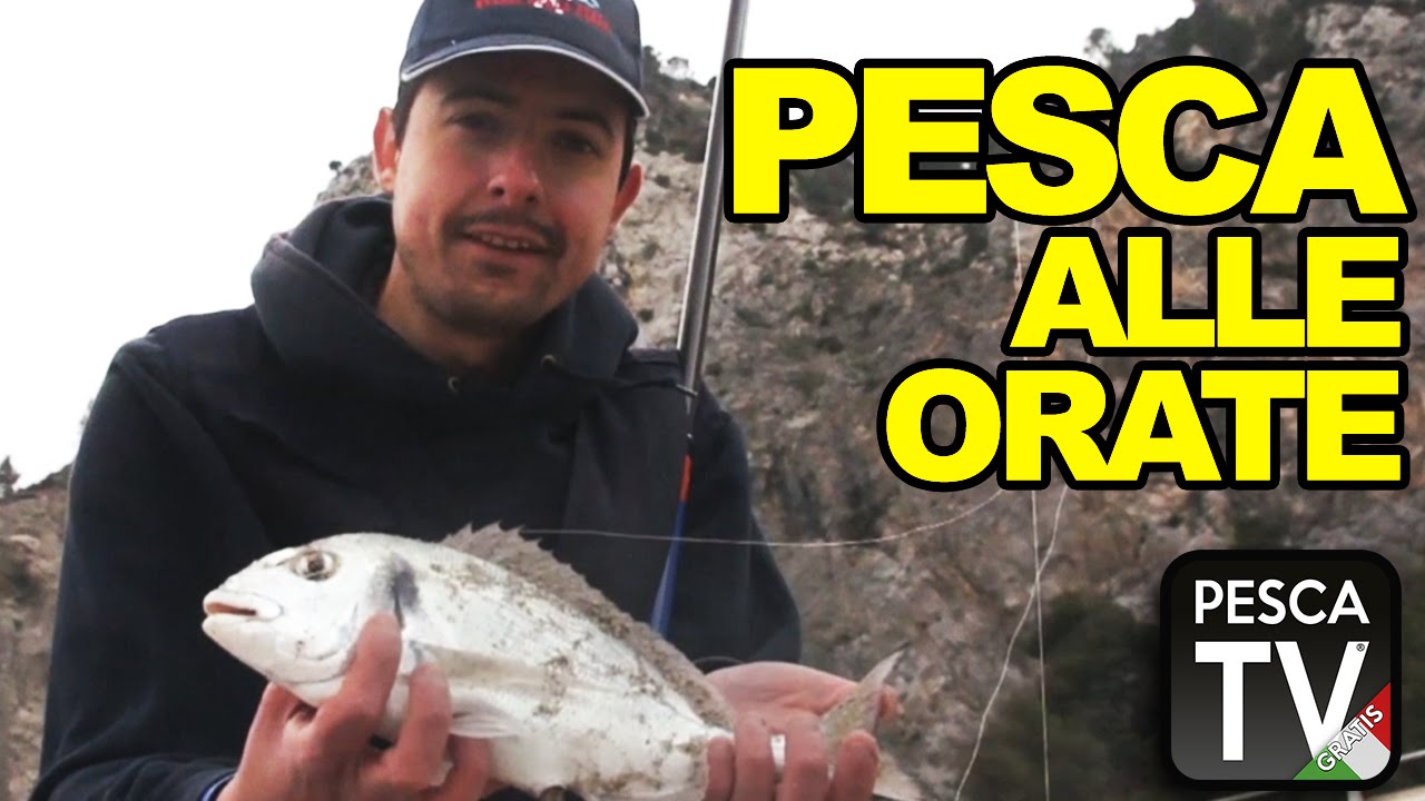 Pesca all'orata a surfcasting in Liguria