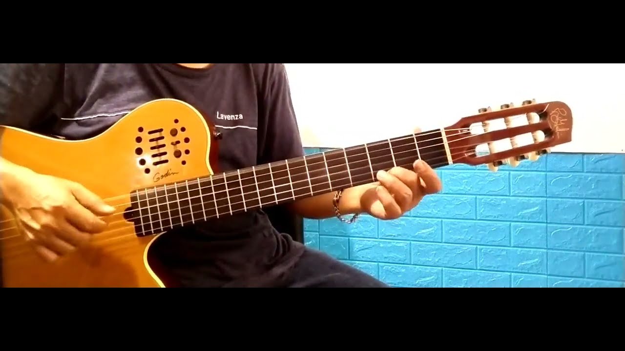 Hướng dẫn guitar : Xuân này con không về (Trịnh Lâm Ngân).