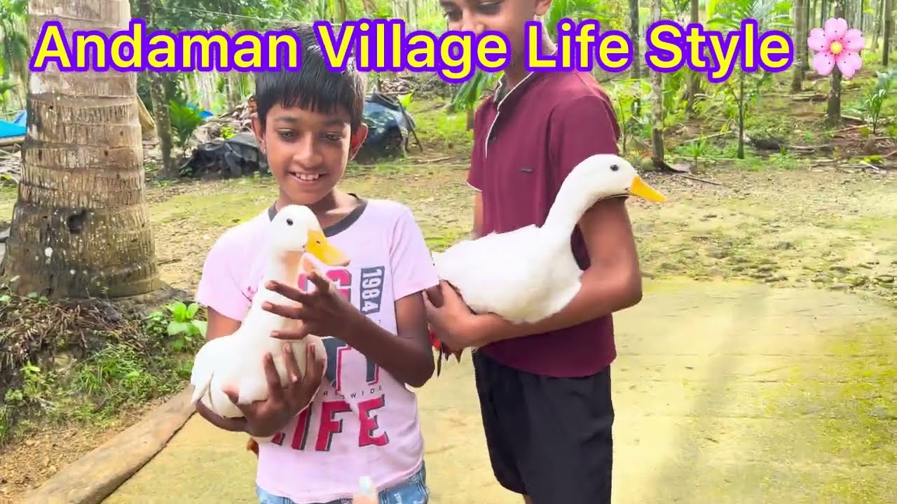 Andama Life Style Mini Vlog 🌸 | 2026 | #andaman #minivlog #trending #shortvideo 
