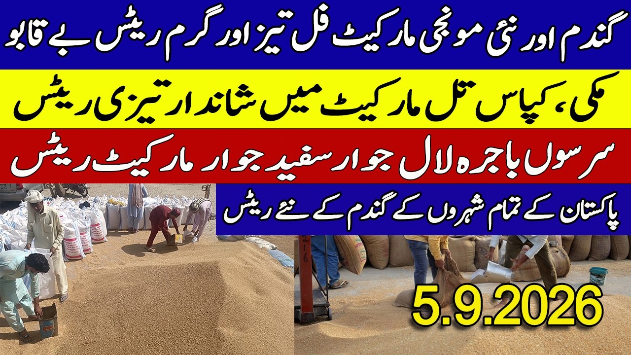 New Gundan Munji Rates 2026 || New Dhan Till Sarson Rates ||Galla Mandi Rates Today 2026