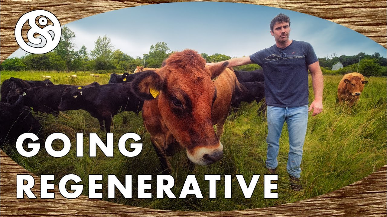 Fintan White Goes Regenerative on his 200ac. Farm