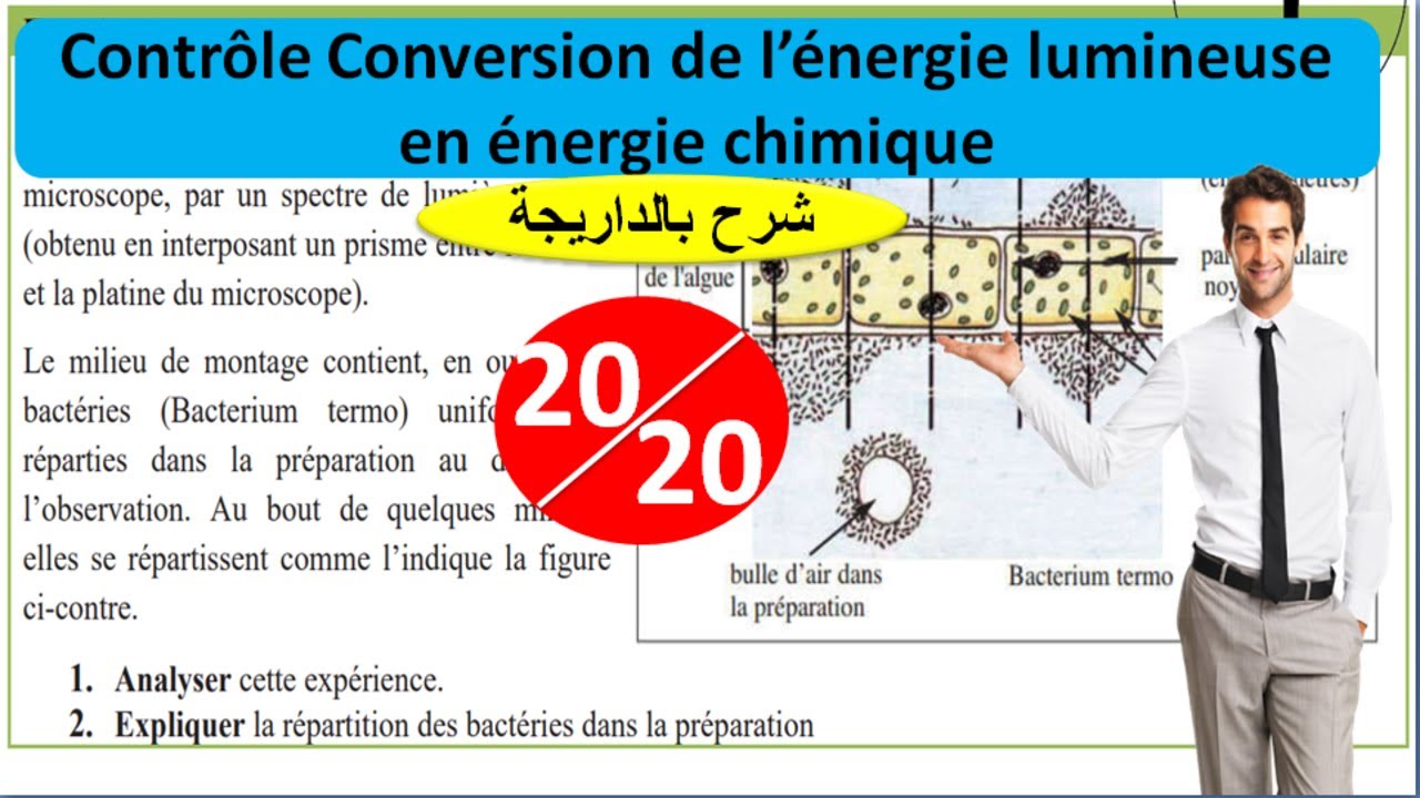 Contrôle Conversion de l'énergie lumineuse en énergie chimique (شرح بالداريجة)