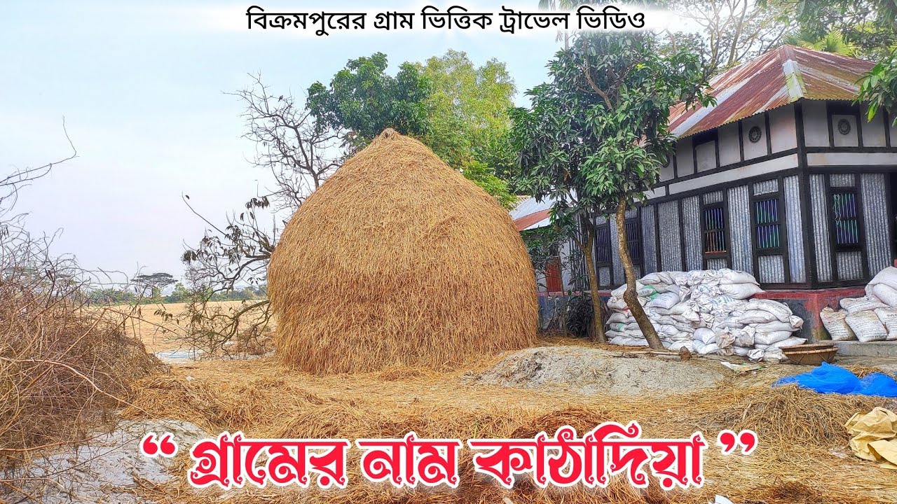 গ্রামের নাম কাঠাদিয়া। টংগিবাড়ী। মুন্সিগঞ্জ। A Beautiful Bangladeshi Village 🇧🇩