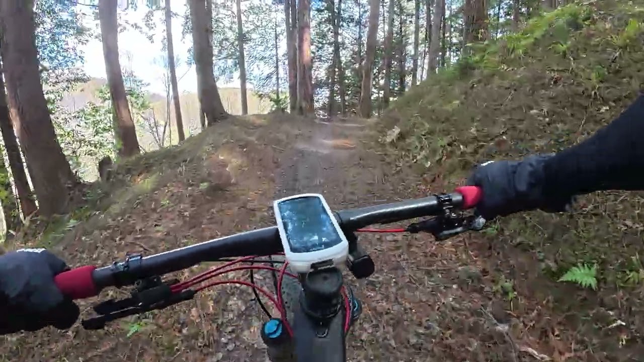 常陸国MTB試走