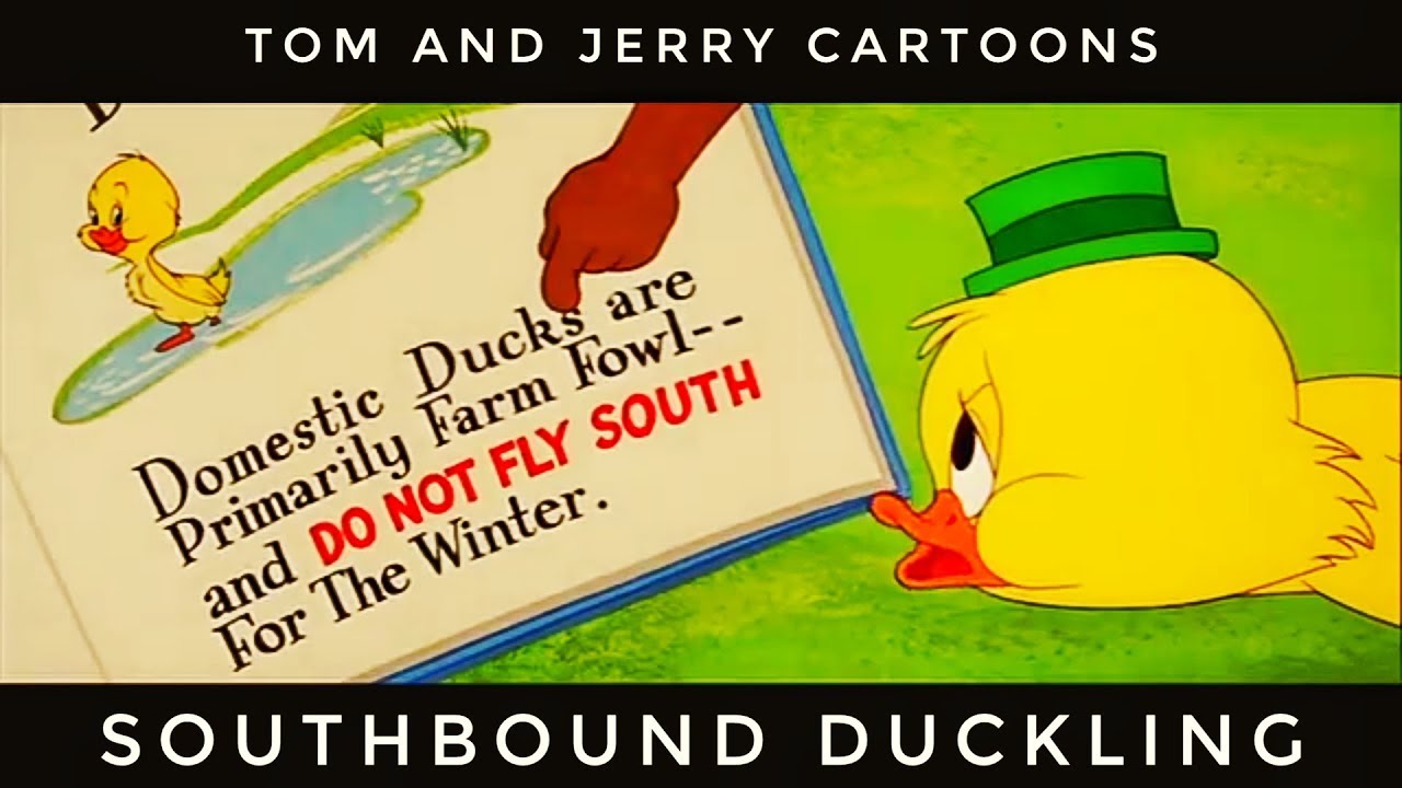 Tom And Jerry English Full Episodes - Southbound Duckling - Full Cartoons For Kids